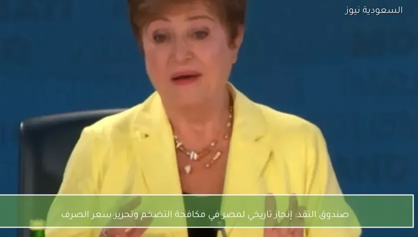 صندوق النقد: إنجاز تاريخي لمصر في مكافحة التضخم وتحرير سعر الصرف