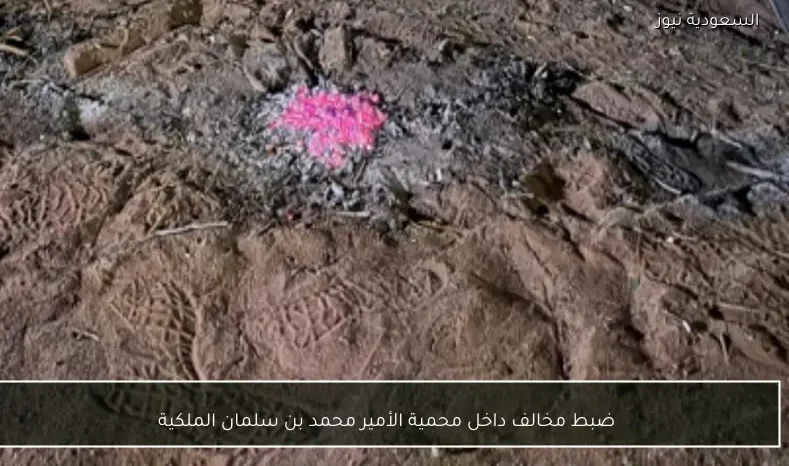 ضبط مخالف داخل محمية الأمير محمد بن سلمان الملكية