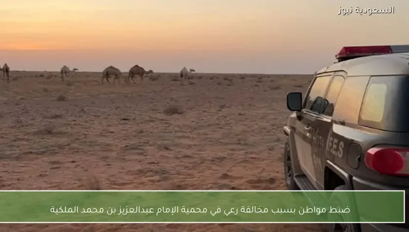 ضبط مواطن بسبب مخالفة رعي في محمية الإمام عبدالعزيز بن محمد الملكية