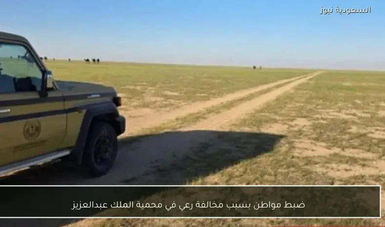 ضبط مواطن بسبب مخالفة رعي في محمية الملك عبدالعزيز