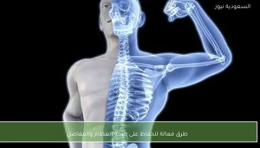 طرق فعالة للحفاظ على صحة العظام والمفاصل