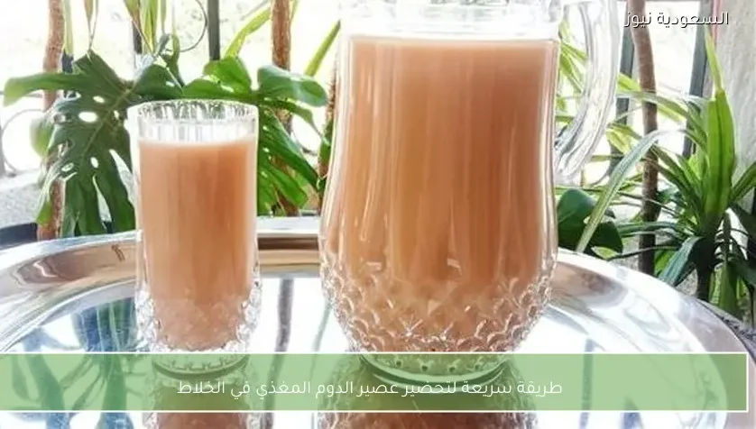 طريقة سريعة لتحضير عصير الدوم المغذي في الخلاط