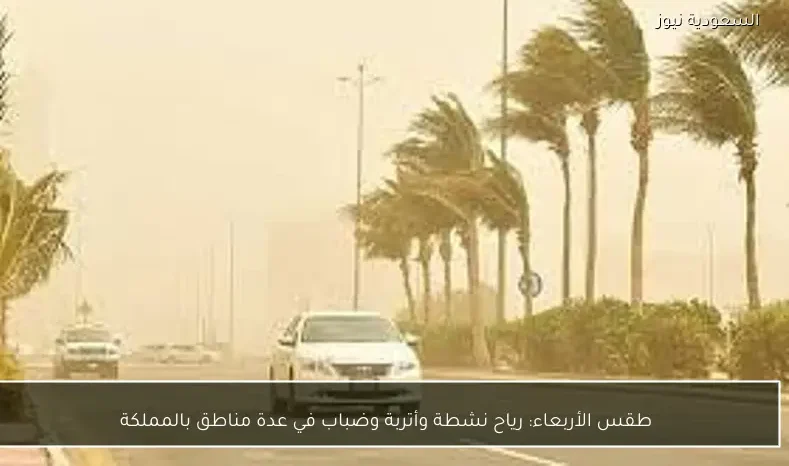 طقس الأربعاء: رياح نشطة وأتربة وضباب في عدة مناطق بالمملكة
