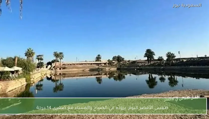 طقس الأقصر اليوم: برودة في الصباح والمساء مع صغرى 14 درجة