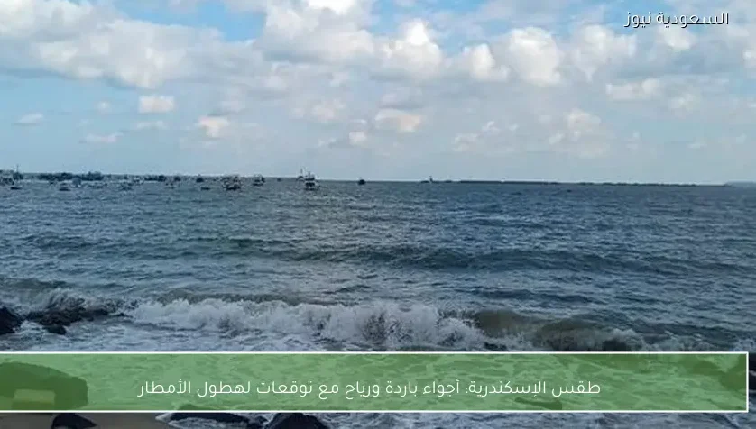 طقس الإسكندرية: أجواء باردة ورياح مع توقعات لهطول الأمطار