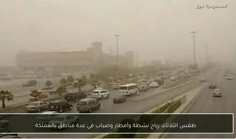 طقس الثلاثاء: رياح نشطة وأمطار وضباب في عدة مناطق بالمملكة