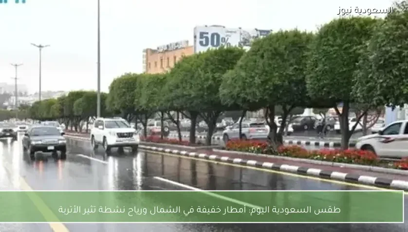 طقس السعودية اليوم: أمطار خفيفة في الشمال ورياح نشطة تثير الأتربة