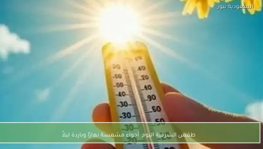 طقس الشرقية اليوم: أجواء مشمسة نهارًا وباردة ليلاً