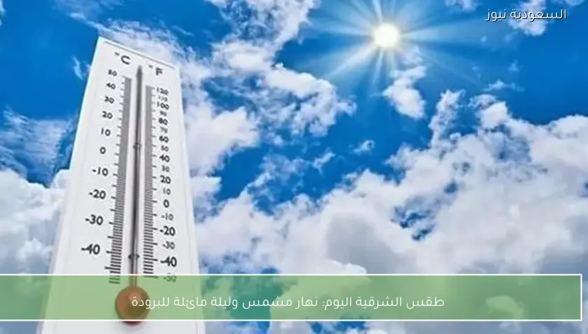 طقس الشرقية اليوم: نهار مشمس وليلة مائلة للبرودة