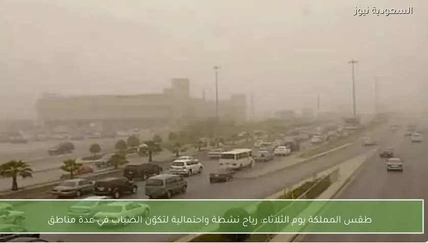 طقس المملكة يوم الثلاثاء: رياح نشطة واحتمالية لتكوّن الضباب في عدة مناطق