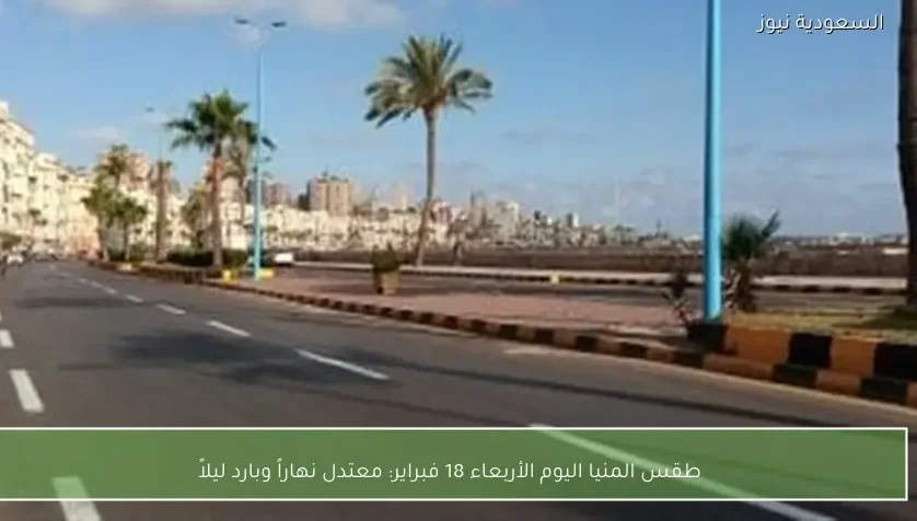 طقس المنيا اليوم الأربعاء 18 فبراير: معتدل نهاراً وبارد ليلاً