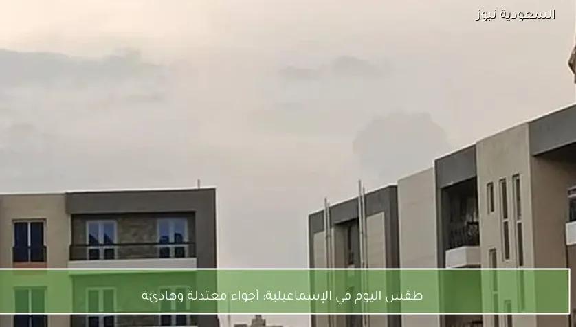 طقس اليوم في الإسماعيلية: أجواء معتدلة وهادئة