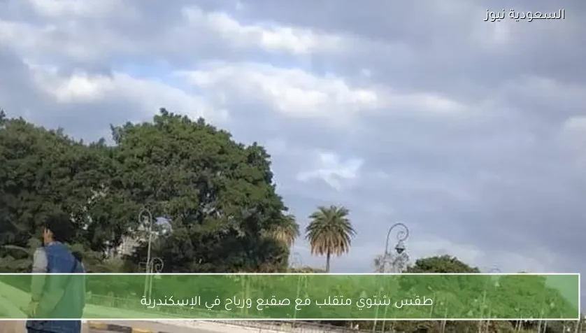 طقس شتوي متقلب مع صقيع ورياح في الإسكندرية
