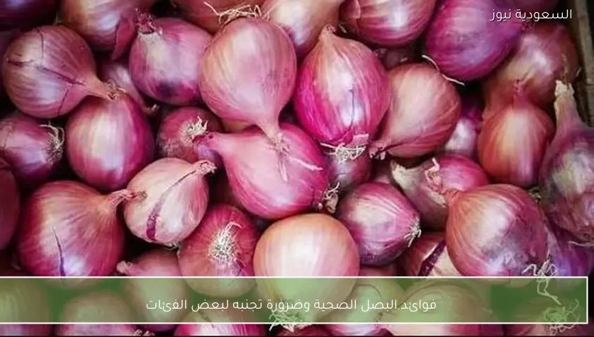 فوائد البصل الصحية وضرورة تجنبه لبعض الفئات