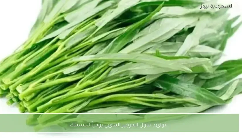 فوائد تناول الجرجير المائي يومياً لجسمك