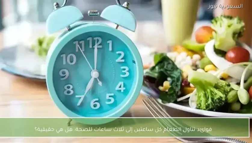 فوائد تناول الطعام كل ساعتين إلى ثلاث ساعات للصحة: هل هي حقيقية؟