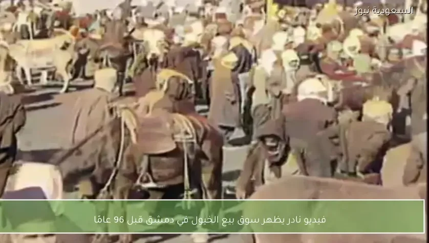 فيديو نادر يظهر سوق بيع الخيول في دمشق قبل 96 عامًا