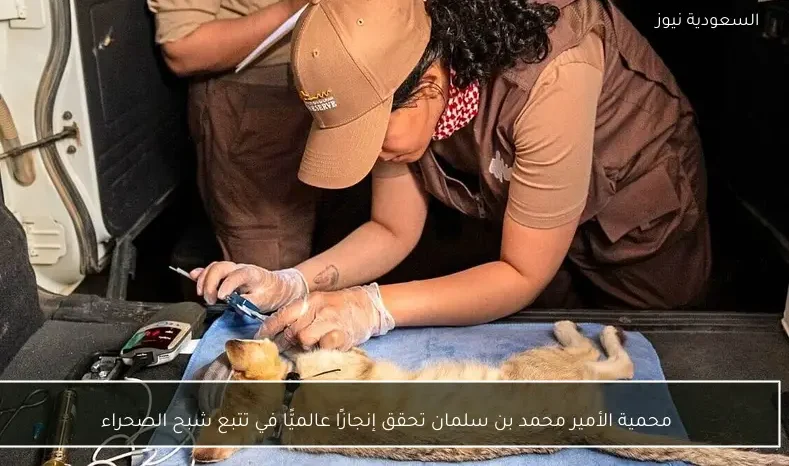 محمية الأمير محمد بن سلمان تحقق إنجازًا عالميًّا في تتبع شبح الصحراء