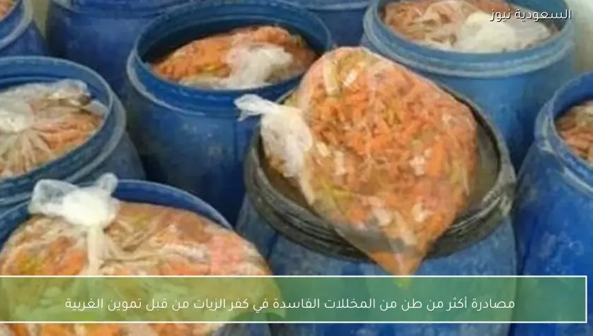 مصادرة أكثر من طن من المخللات الفاسدة في كفر الزيات من قبل تموين الغربية