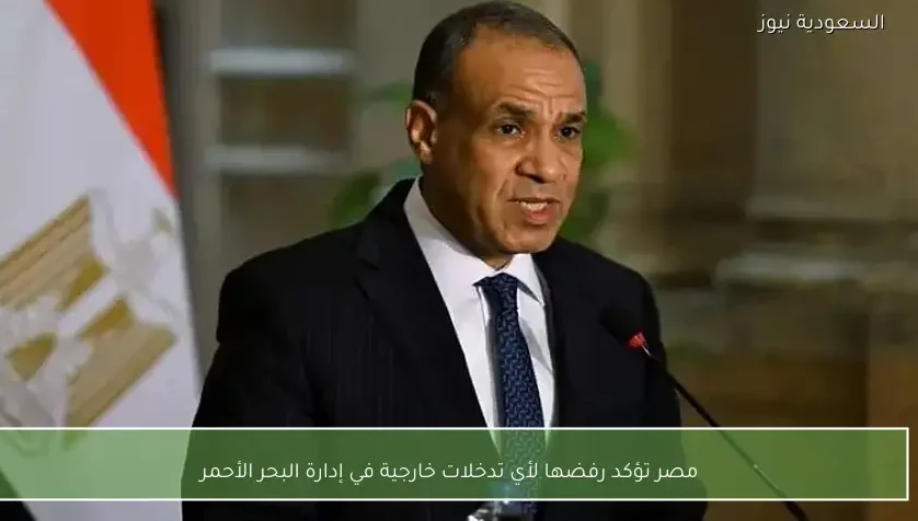 مصر تؤكد رفضها لأي تدخلات خارجية في إدارة البحر الأحمر