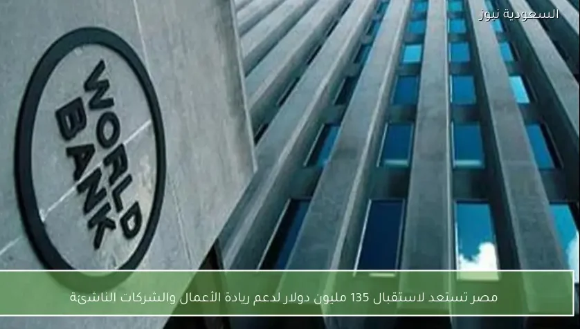 مصر تستعد لاستقبال 135 مليون دولار لدعم ريادة الأعمال والشركات الناشئة