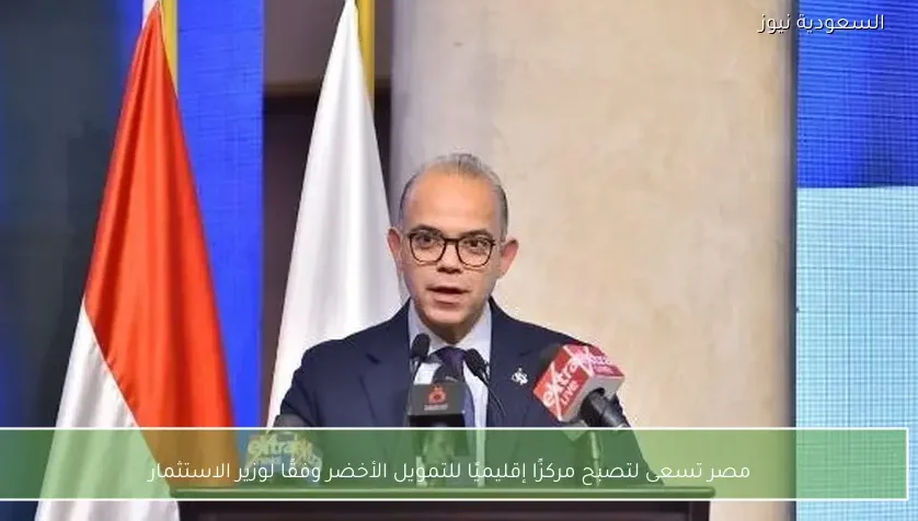 مصر تسعى لتصبح مركزًا إقليميًا للتمويل الأخضر وفقًا لوزير الاستثمار
