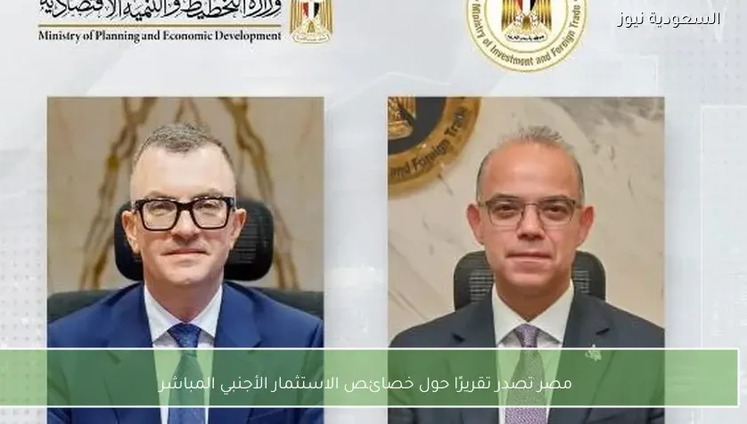 مصر تصدر تقريرًا حول خصائص الاستثمار الأجنبي المباشر