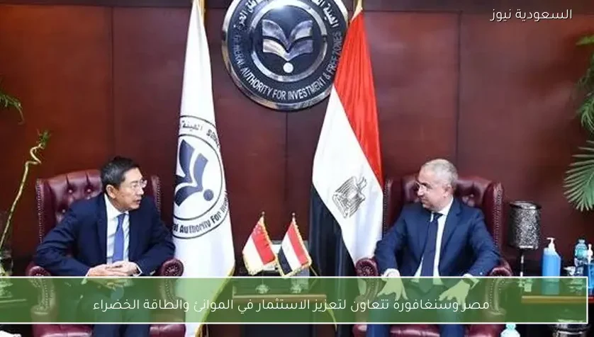 مصر وسنغافورة تتعاون لتعزيز الاستثمار في الموانئ والطاقة الخضراء