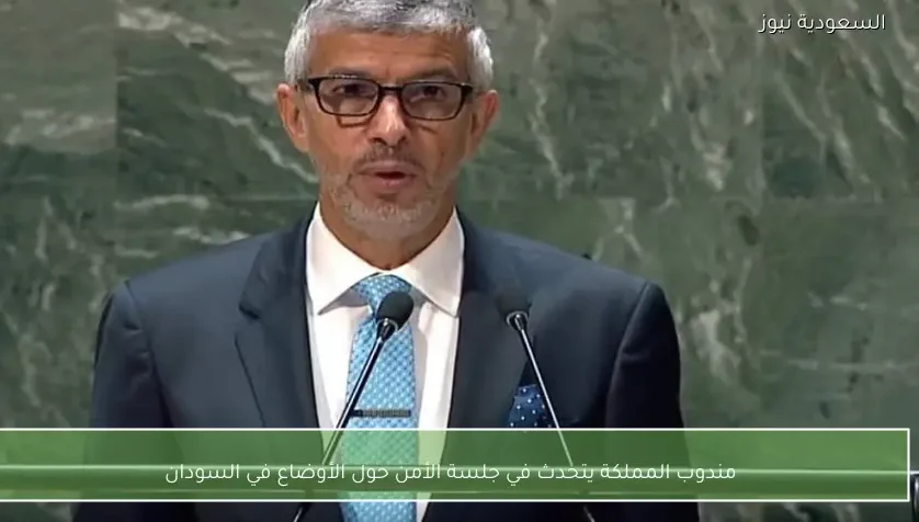 مندوب المملكة يتحدث في جلسة الأمن حول الأوضاع في السودان