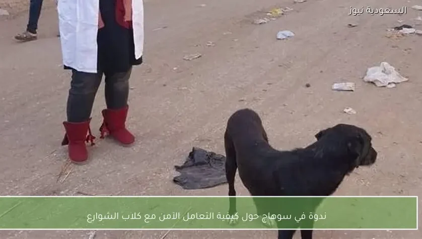 ندوة في سوهاج حول كيفية التعامل الآمن مع كلاب الشوارع