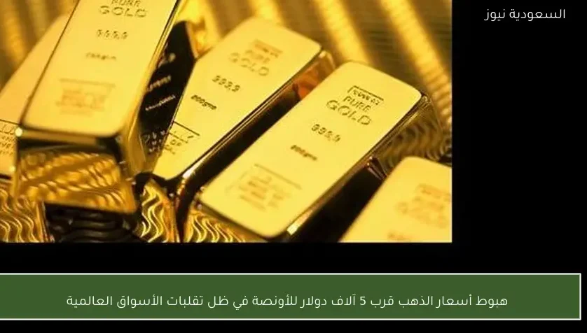هبوط أسعار الذهب قرب 5 آلاف دولار للأونصة في ظل تقلبات الأسواق العالمية