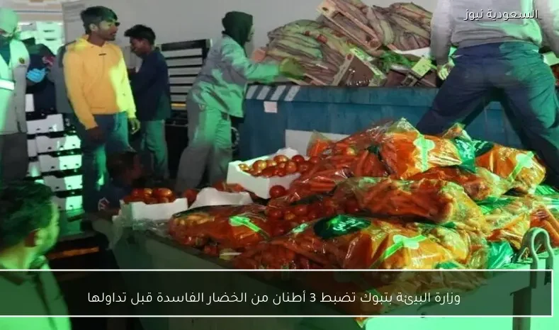 وزارة البيئة بتبوك تضبط 3 أطنان من الخضار الفاسدة قبل تداولها