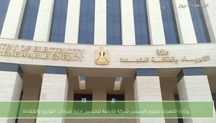 وزارة الكهرباء تعتزم تأسيس شركة قابضة لتحسين إدارة شركات التوزيع والكفاءة