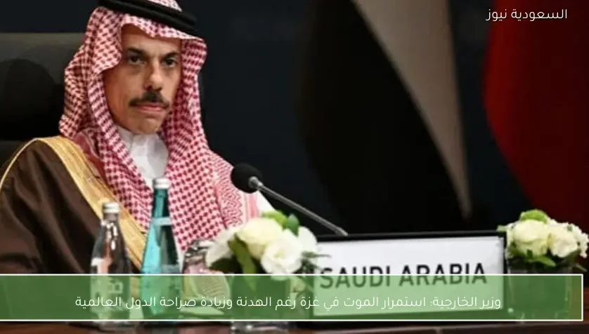 وزير الخارجية: استمرار الموت في غزة رغم الهدنة وزيادة صراحة الدول العالمية