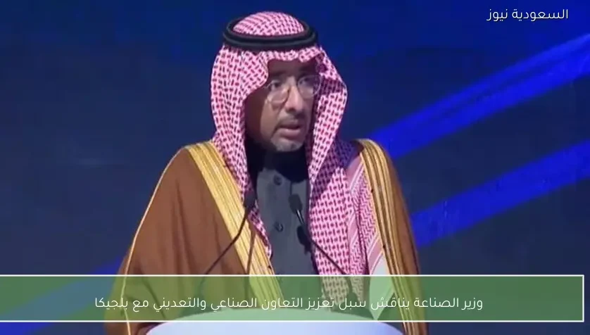 وزير الصناعة يناقش سبل تعزيز التعاون الصناعي والتعديني مع بلجيكا