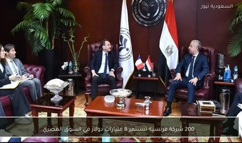 200 شركة فرنسية تستثمر 8 مليارات دولار في السوق المصري