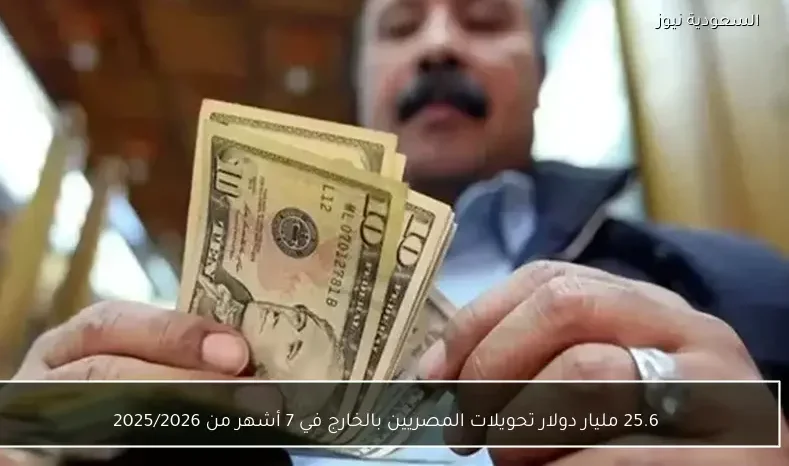 25.6 مليار دولار تحويلات المصريين بالخارج في 7 أشهر من 2025/2026