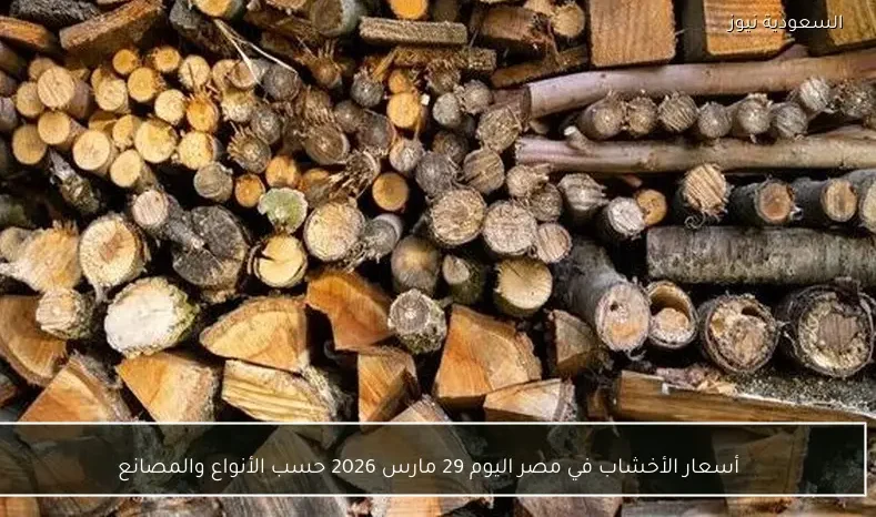 أسعار الأخشاب في مصر اليوم 29 مارس 2026 حسب الأنواع والمصانع