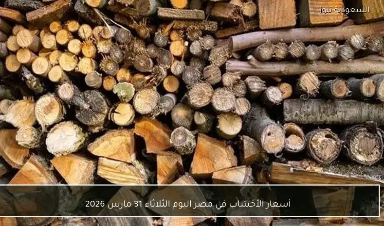 أسعار الأخشاب في مصر اليوم الثلاثاء 31 مارس 2026