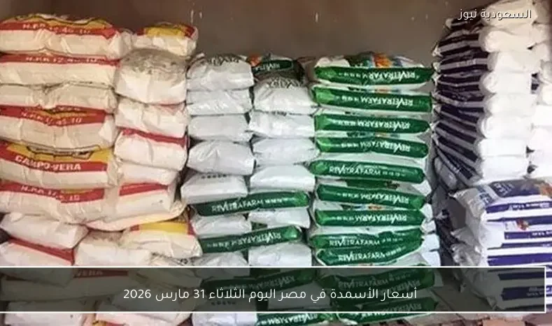 أسعار الأسمدة في مصر اليوم الثلاثاء 31 مارس 2026