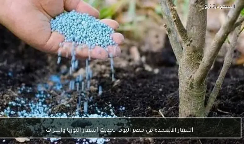 أسعار الأسمدة في مصر اليوم: تحديث أسعار اليوريا والنترات
