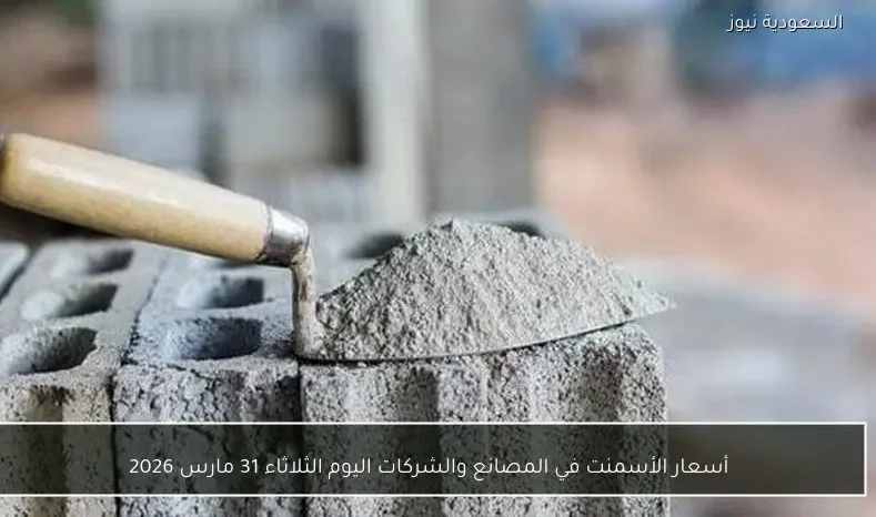 أسعار الأسمنت في المصانع والشركات اليوم الثلاثاء 31 مارس 2026
