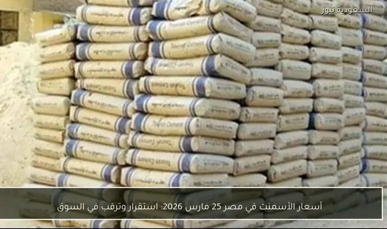 أسعار الأسمنت في مصر 25 مارس 2026: استقرار وترقب في السوق