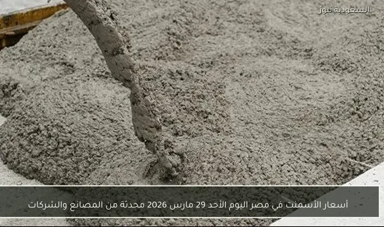 أسعار الأسمنت في مصر اليوم الأحد 29 مارس 2026 محدثة من المصانع والشركات