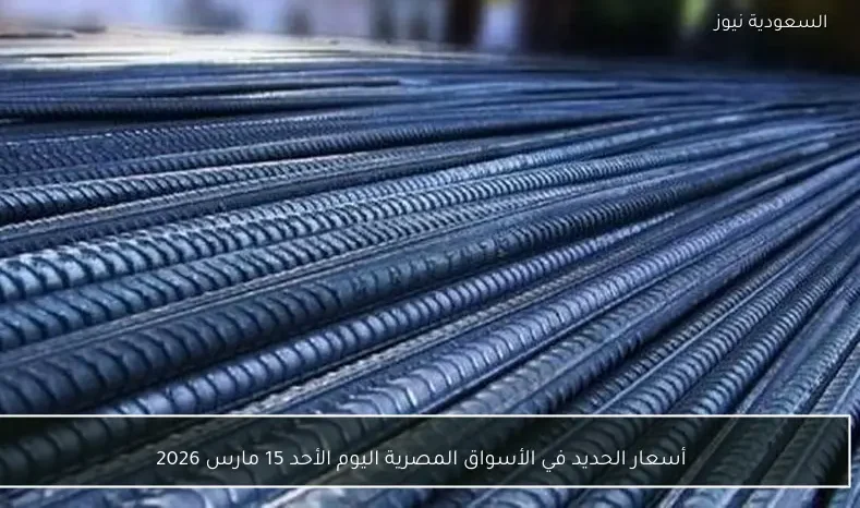 أسعار الحديد في الأسواق المصرية اليوم الأحد 15 مارس 2026