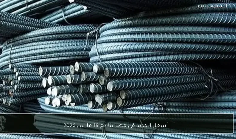 أسعار الحديد في مصر بتاريخ 19 مارس 2026