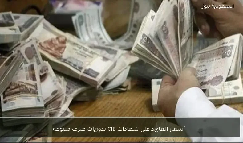أسعار العائد على شهادات CIB بدوريات صرف متنوعة