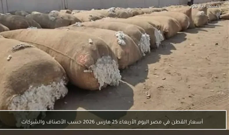 أسعار القطن في مصر اليوم الأربعاء 25 مارس 2026 حسب الأصناف والشركات