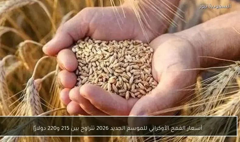 أسعار القمح الأوكراني للموسم الجديد 2026 تتراوح بين 215 و220 دولارًا