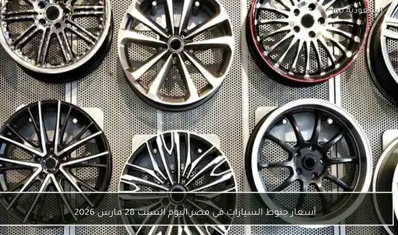 أسعار جنوط السيارات في مصر اليوم السبت 28 مارس 2026